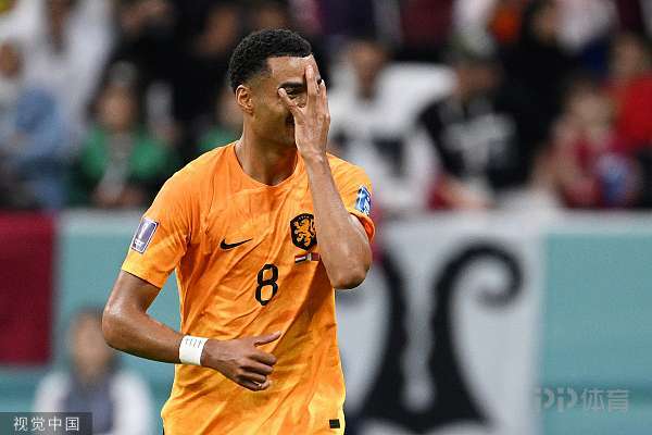 世界杯-荷兰2-0卡塔尔头名出线 加克波连续3场破门德容建功 4 世界杯-荷兰2-0卡塔尔头名出线 加克波连续3场破门德容建功