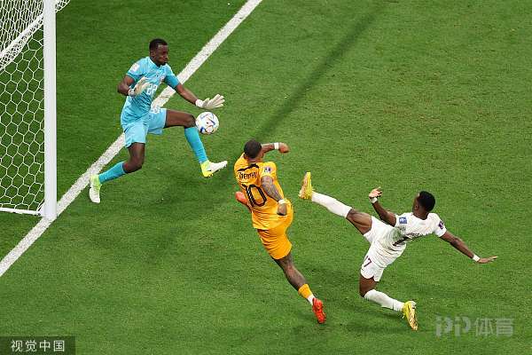 世界杯-荷兰2-0卡塔尔头名出线 加克波连续3场破门德容建功 5 世界杯-荷兰2-0卡塔尔头名出线 加克波连续3场破门德容建功