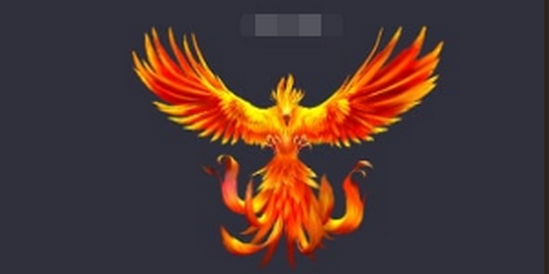 关于华体会体育